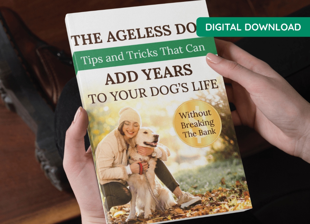 The Ageless Dog Ebook Cover
