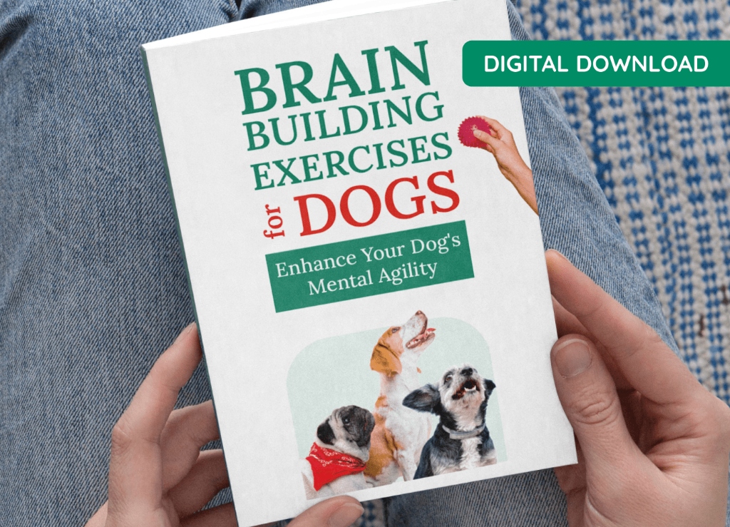 Brain Building Exercises Ebook Cover